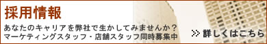 採用情報