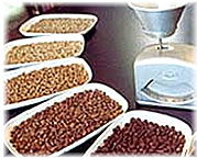 世界トップ５％のコーヒー豆