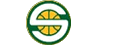 SUPERSONICS�iNBA)